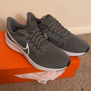 Nike air zoom Pegasus 39 TB